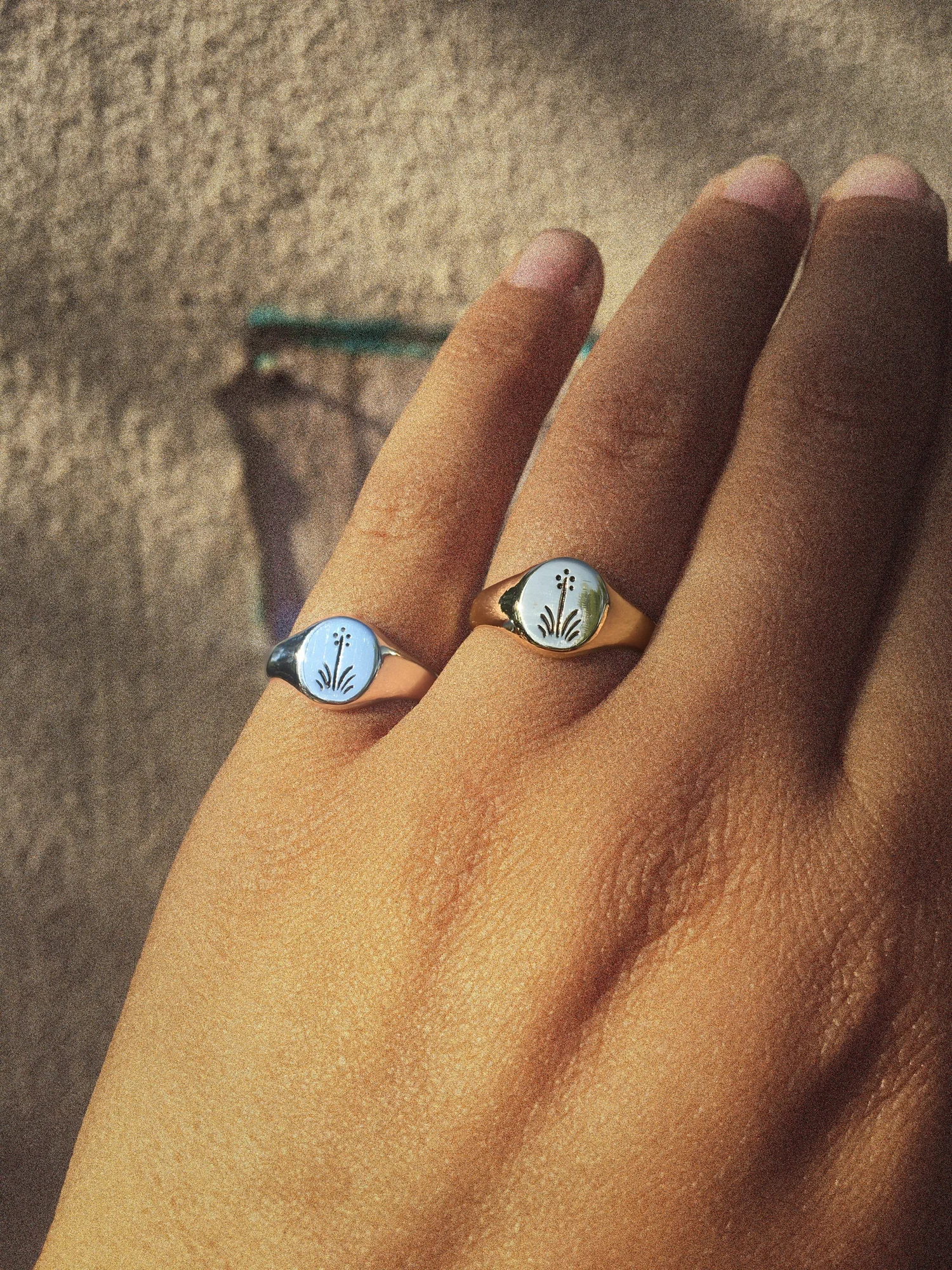 Yucca Signet Ring — Sophie Kissin Jewelry